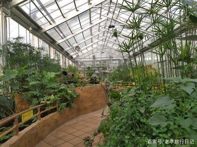 北京中科院植物园温室大棚