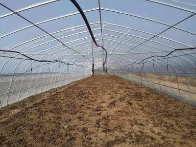 北海种植棚批发 温室大棚 全国承接