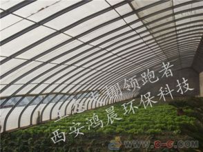 上海温室大棚