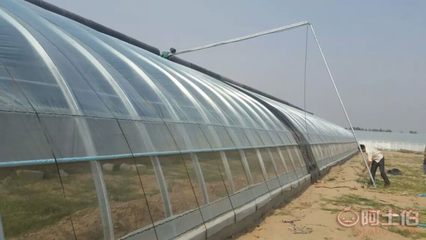 【营口葫芦岛兴城恒温智能温室大棚 玻璃连栋温室大棚】 - 产品库