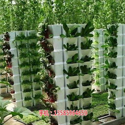 物联网智能温室大棚 技术赋能现代农业，推动精准种植