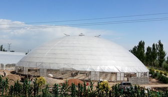 9.5亩鸟巢温室型雾培蔬菜工厂基地设计与建设方案