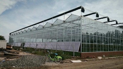 江苏温室连栋大棚 源大温室的智能温室大棚技术革新与应用
