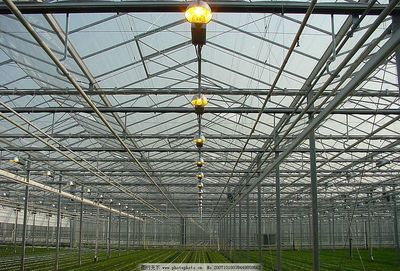 汉之源大棚 现代温室农业的创新与实践