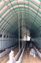 潜江养殖温室大棚价格详解 多少钱一平方?