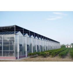 生态餐厅的供应链体系 从温室大棚到餐桌的绿色生态循环