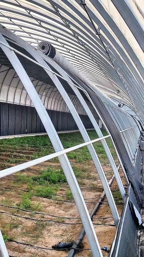 智能农业新篇章 带自动清洗功能的日光温室大棚