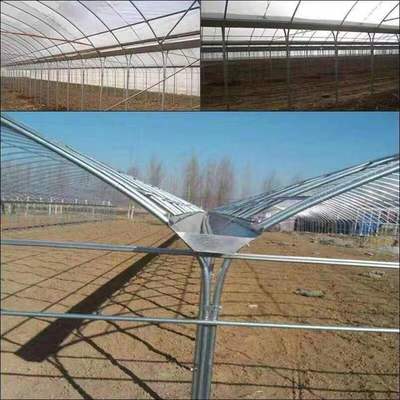 养殖大棚与温室大棚 现代农业的关键设施