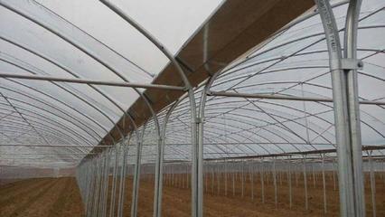 连体温室大棚的发展与应用 以陕西、青州和山东为例