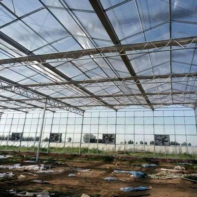 文洛温室技术赋能现代农业 智能养殖新篇章