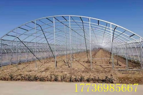 高效耐用的农业设施——和田市春秋大棚“几字钢架无划痕”温室大棚
