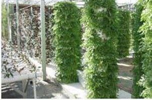 青州智能温室大棚建设报价全解析 奥博农副产品与现代化农业的融合